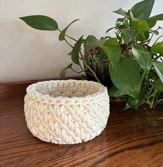 March 25th basket class