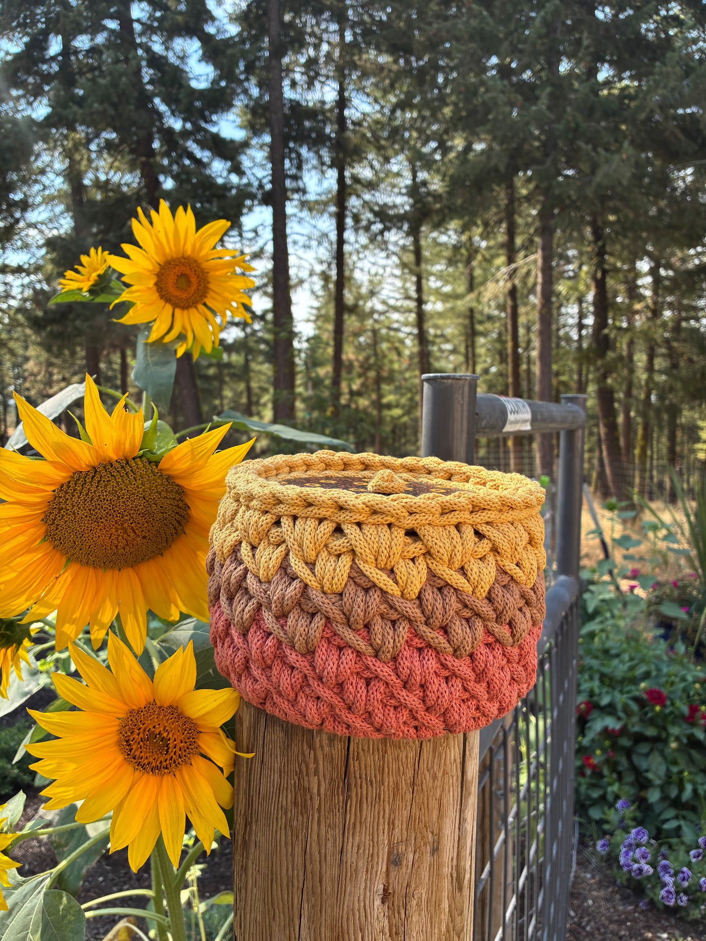 Sunset basket